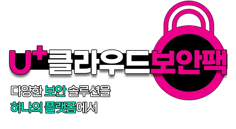LGU+ 지능형 영상보안 솔루션 - PC용 이미지